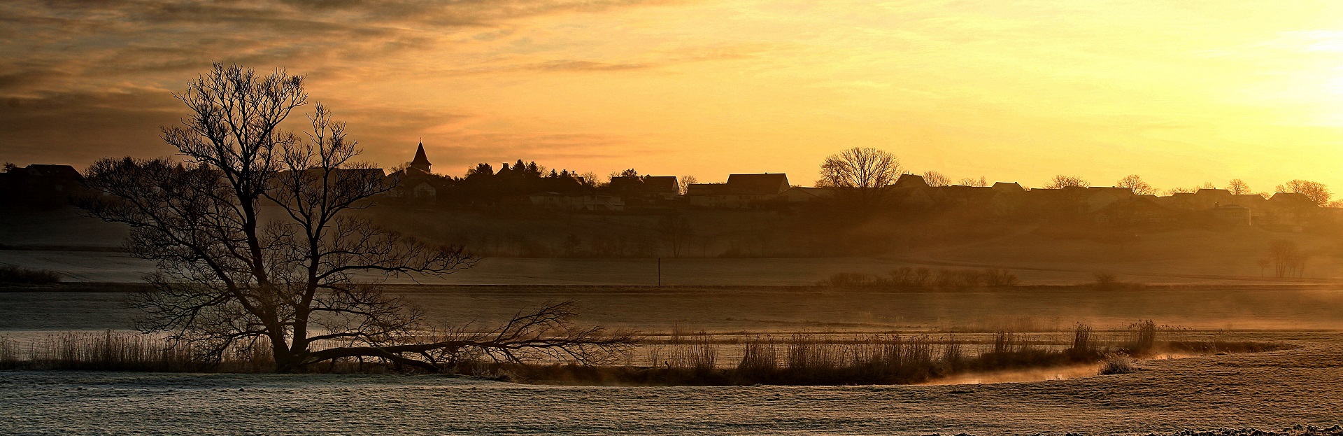 HeaderImage