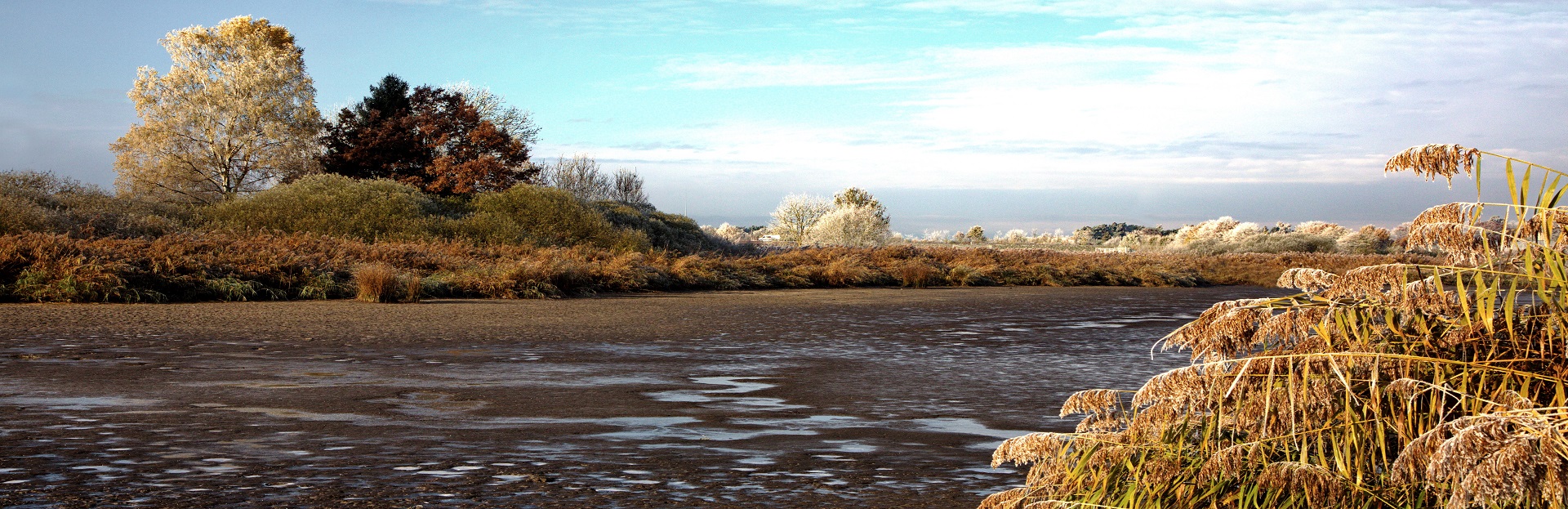HeaderImage