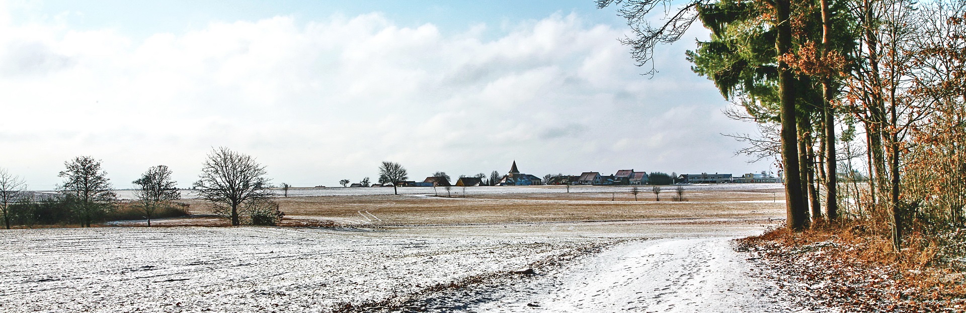 HeaderImage