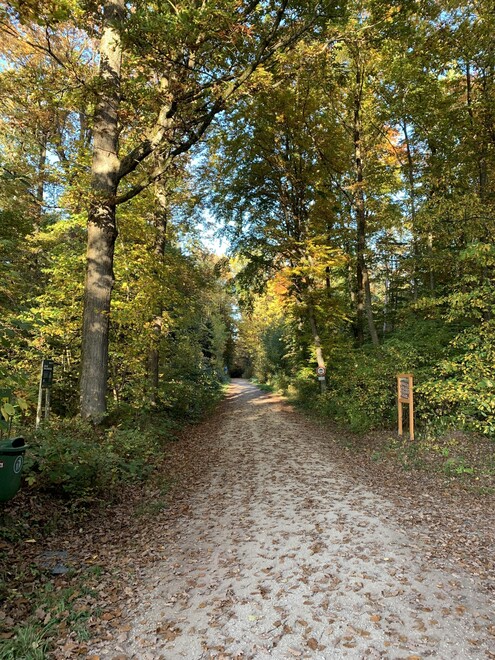 Eingang Waldlehrpfad 